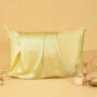 Wholesale 19/22 Momme Pure Silk Zipper Housewife Pillowcase for Hair